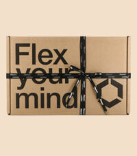 SURPRISE BOX STICKERS GC