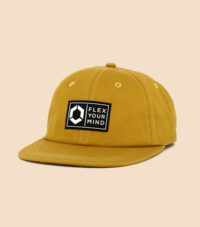 NEW COLLECTION - CASQUETTE FLEX-ON DNA FLAT - CURRY